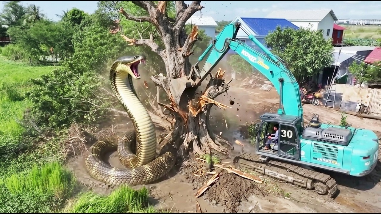 WOW!  INCREDIBLE!! New Road Building By Sand In Deep Pond By Bulldozer SHANTUI DH17C2 and DONG FENG