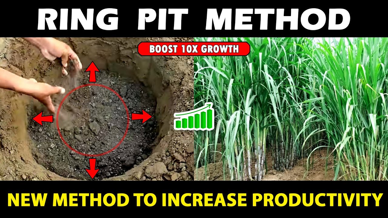 Ring Pit Method | Maximize your Agriculture Yield and Productivity
