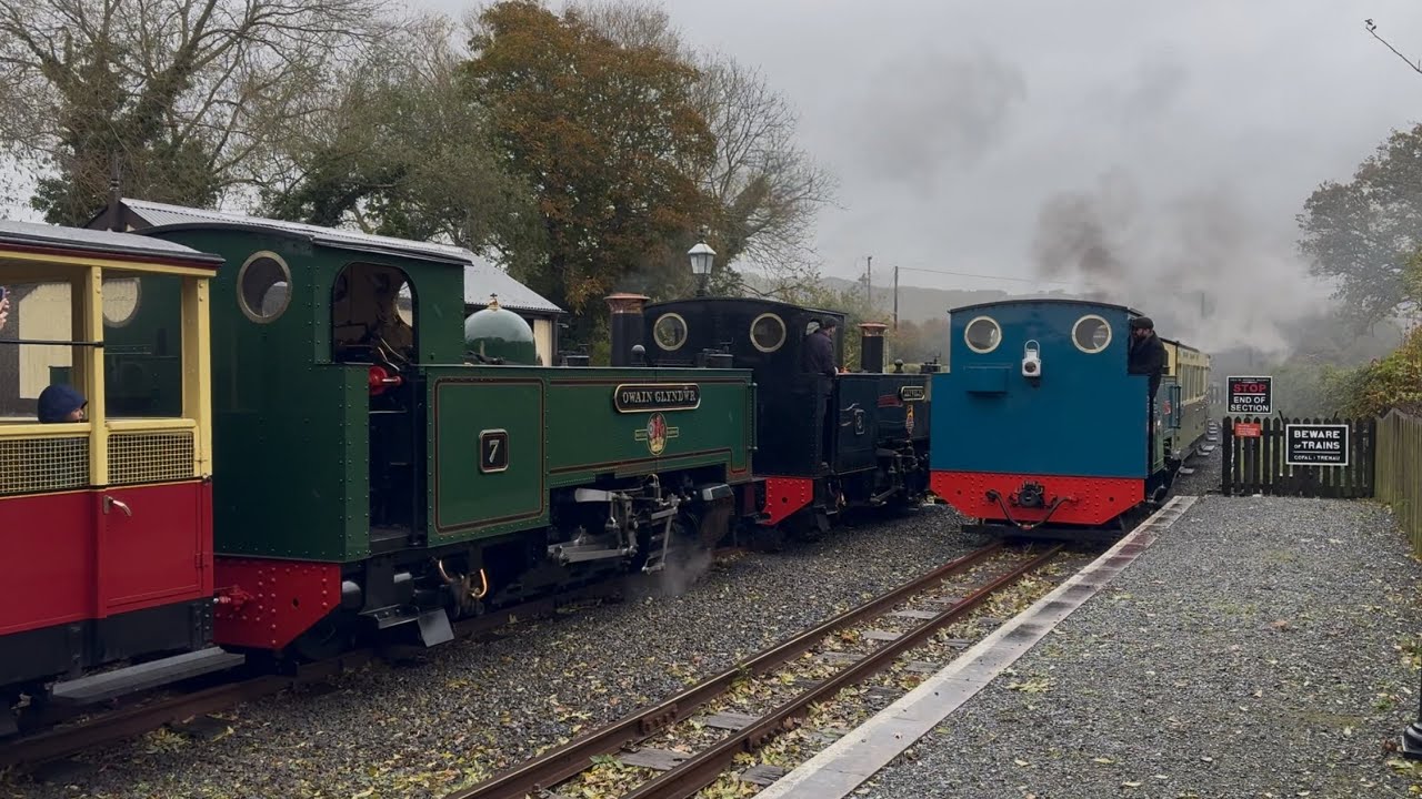 VoR Festival of Steam no 7, 8, BR Blue no 9 & 60 Vale of Rheidol Narrow Gauge Steam Railway Oct 2025