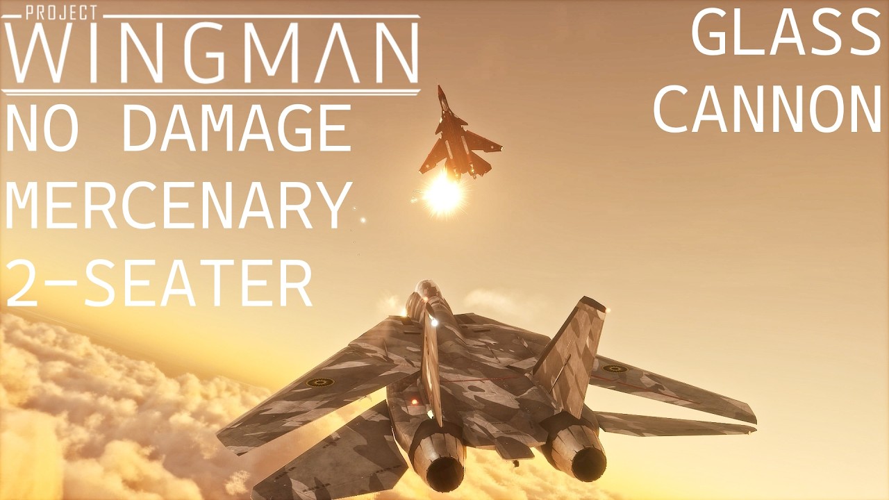 Project Wingman | Mission 21 on Mercenary Difficulty, 2-Seater Only, No Damage