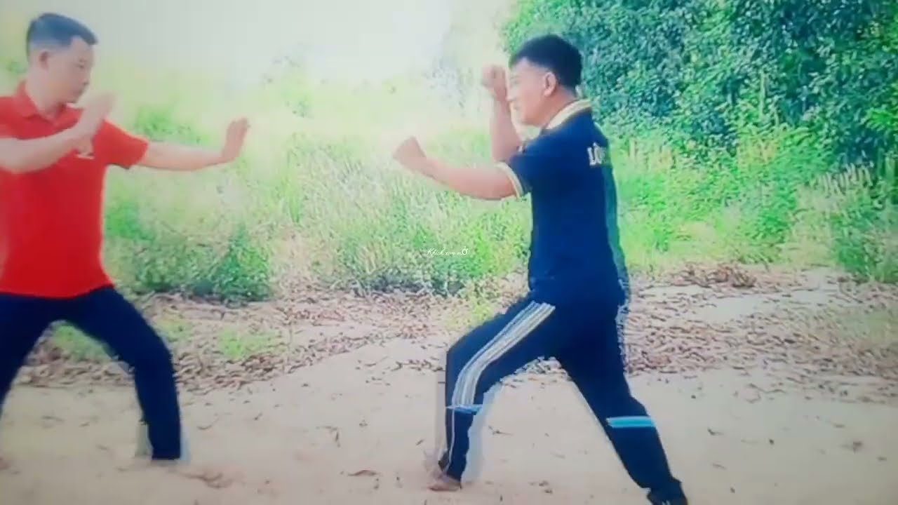 Thế võ Tây Sơn
