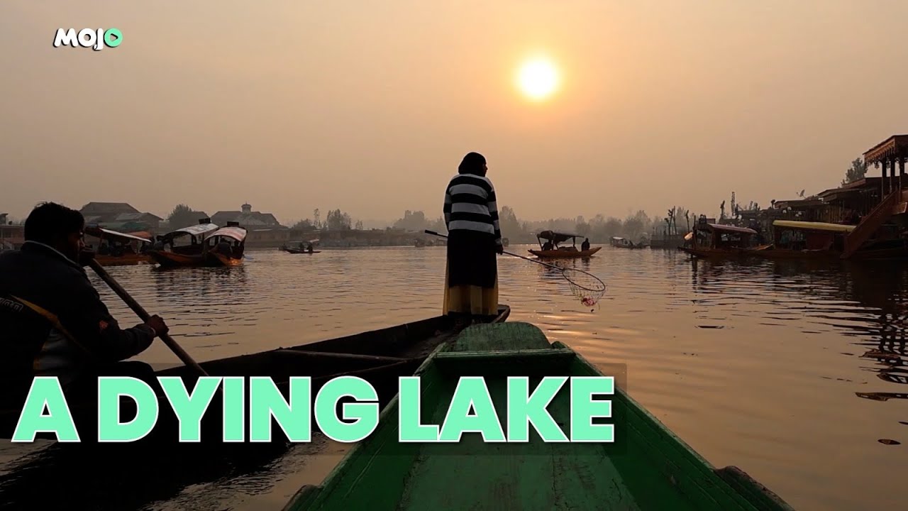 Dal Lake Battles for Survival Amid Environmental Threats, Inspiring Eco-Warriors