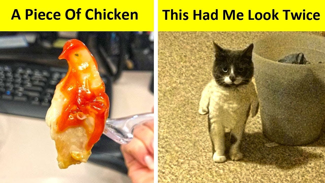 Confusing Photos That Fooled Our Eyes