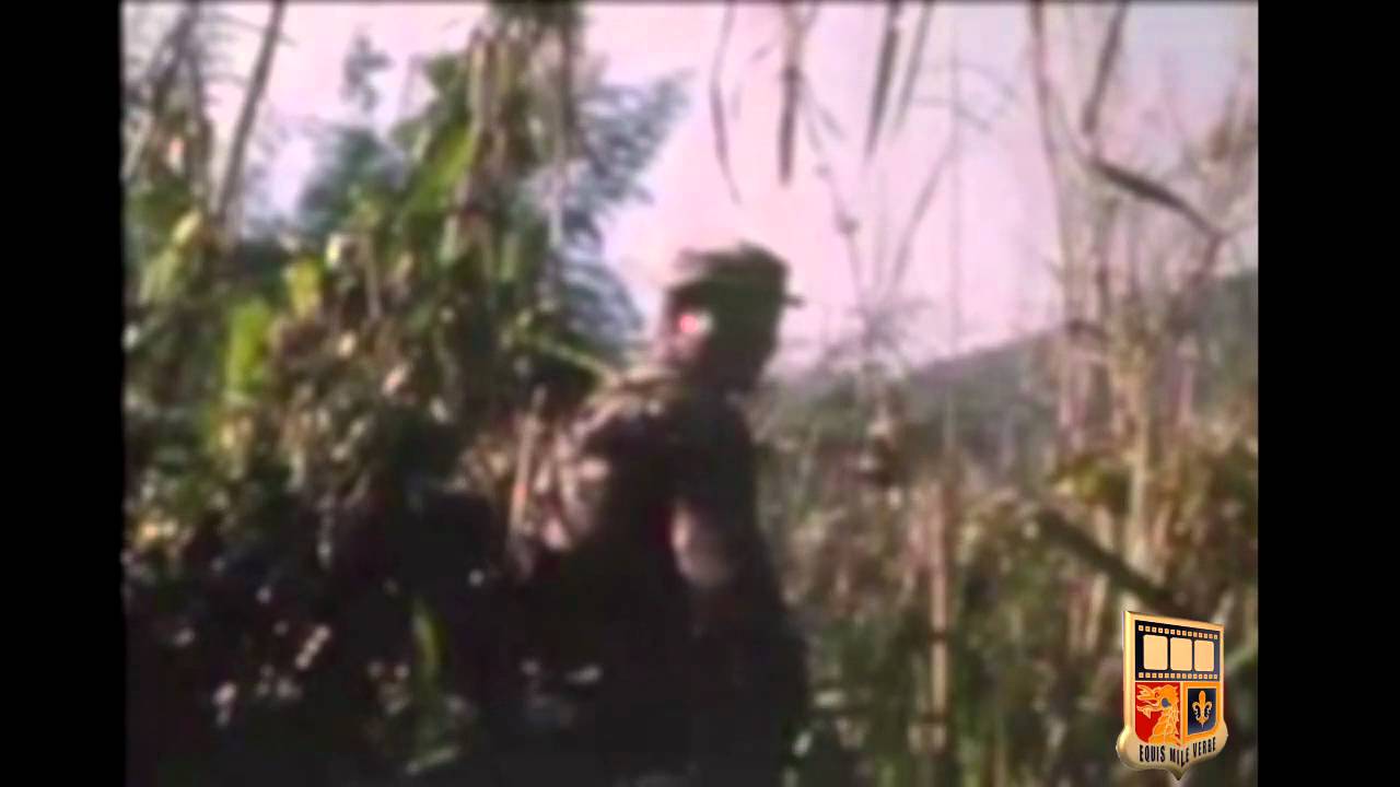 Mike Force - Australian Army Training Team - Montagnard Strike Force