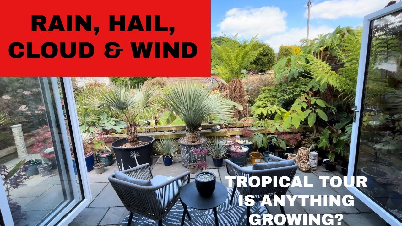 Tropical Exotic Garden Tour in June - It's Been Miserable!