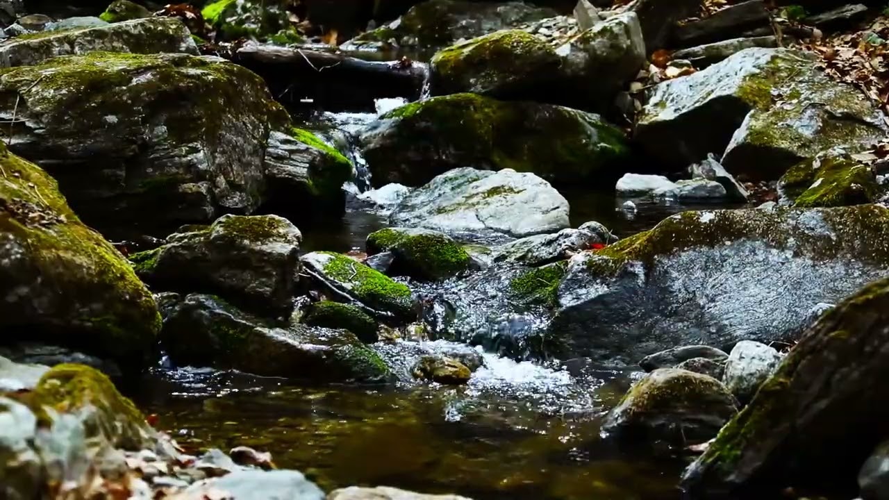 10 Hours of Peaceful River Flow – Relaxing Nature ASMR for Sleep