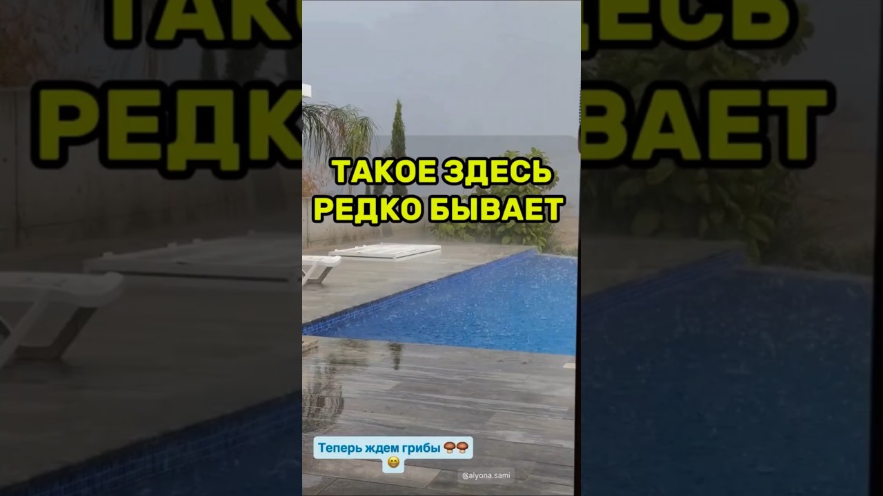 Просто наблюдать жизнь 