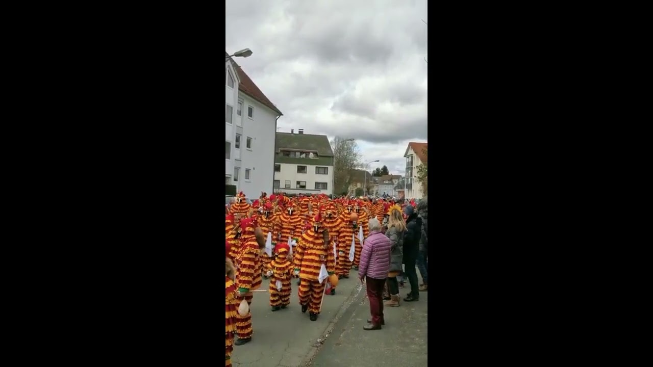 Fasnets Sonntag | Rückblick 2023 | Radolfzell am Bodensee