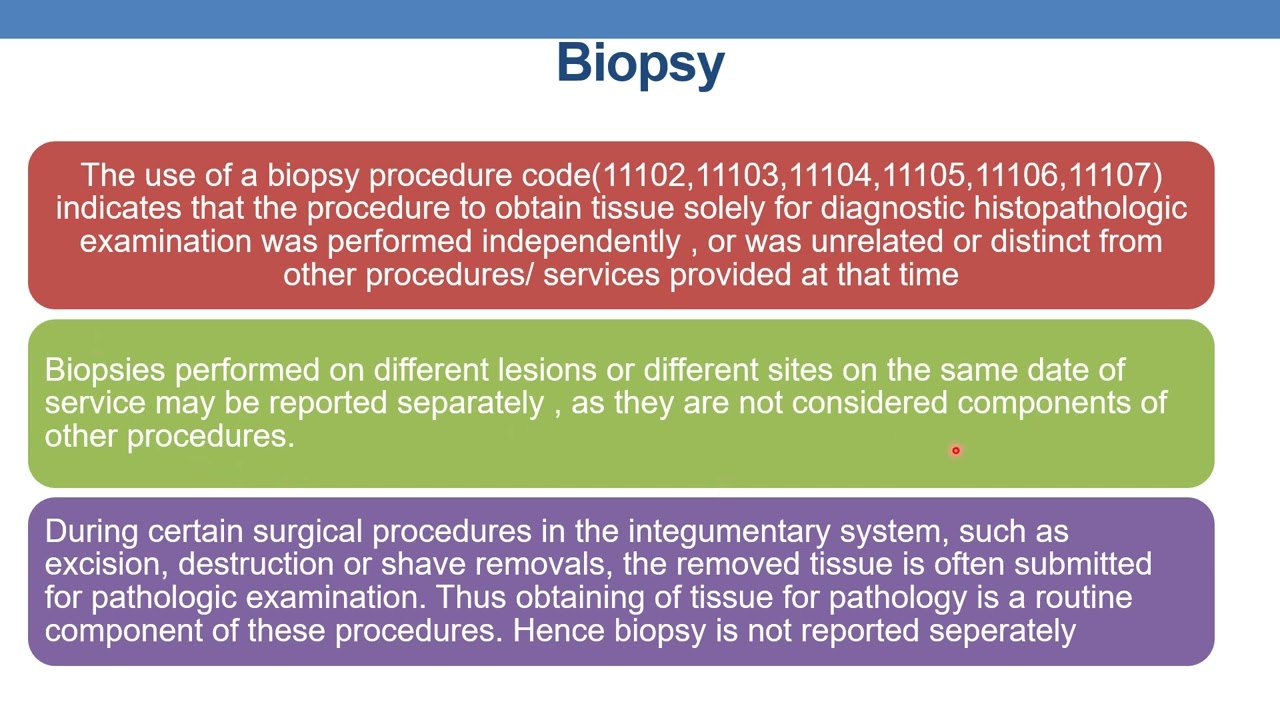 CPT CODING GUIDELINES FOR SURGERY   INTEGUMENTARY SYSTEM PART 4