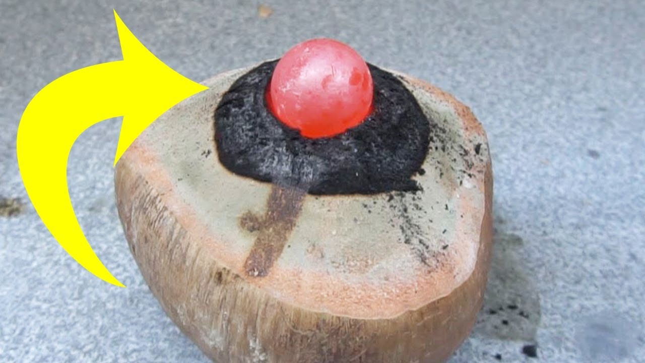 EXPERIMENT Glowing 1000 Degree Metal Ball Vs Coconut