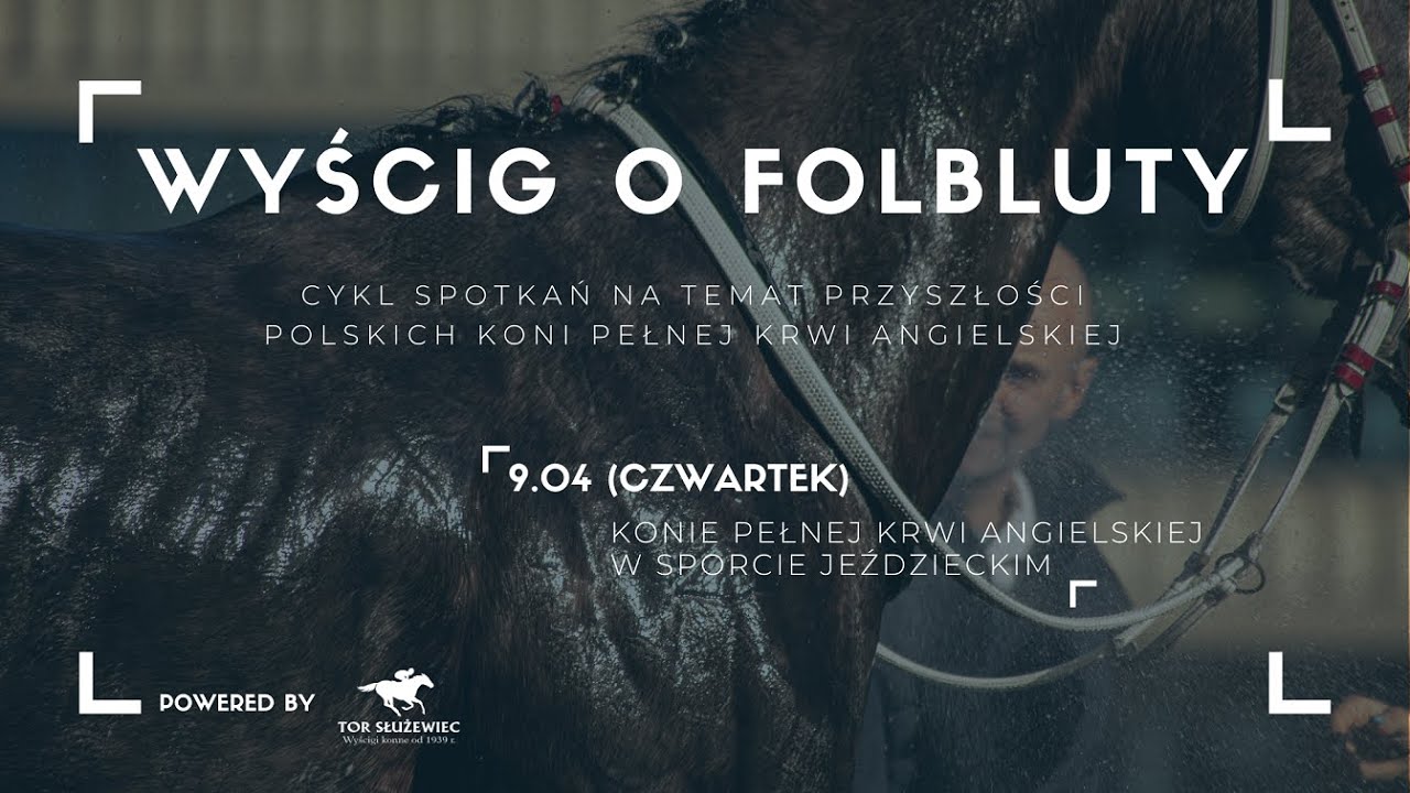 Wyścig o folbluty (cz. 2) - Konie pełnej krwi angielskiej oraz konie zaawansowane w krew w sporcie