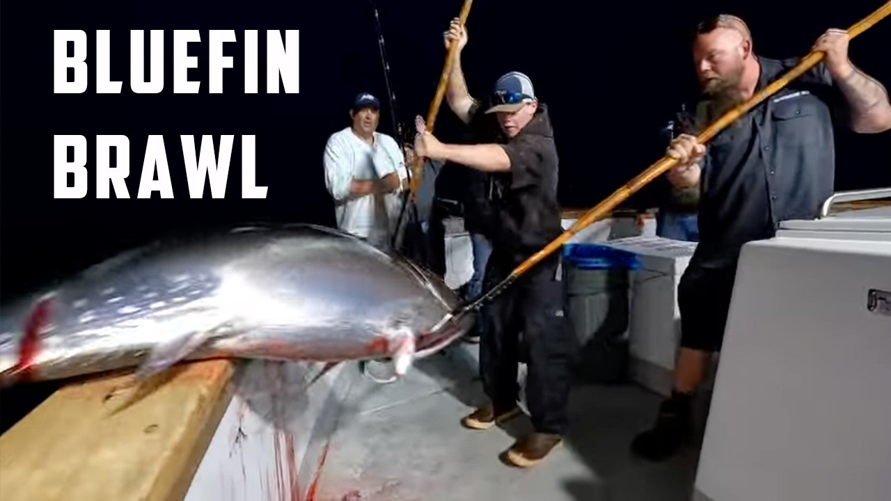 Big Bluefin & Yellowtail on the Ranger 85