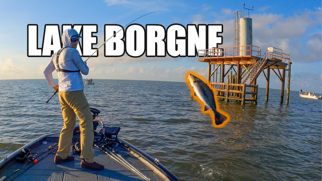 Catching Summer Speckled Trout At Lake Borgne Rigs