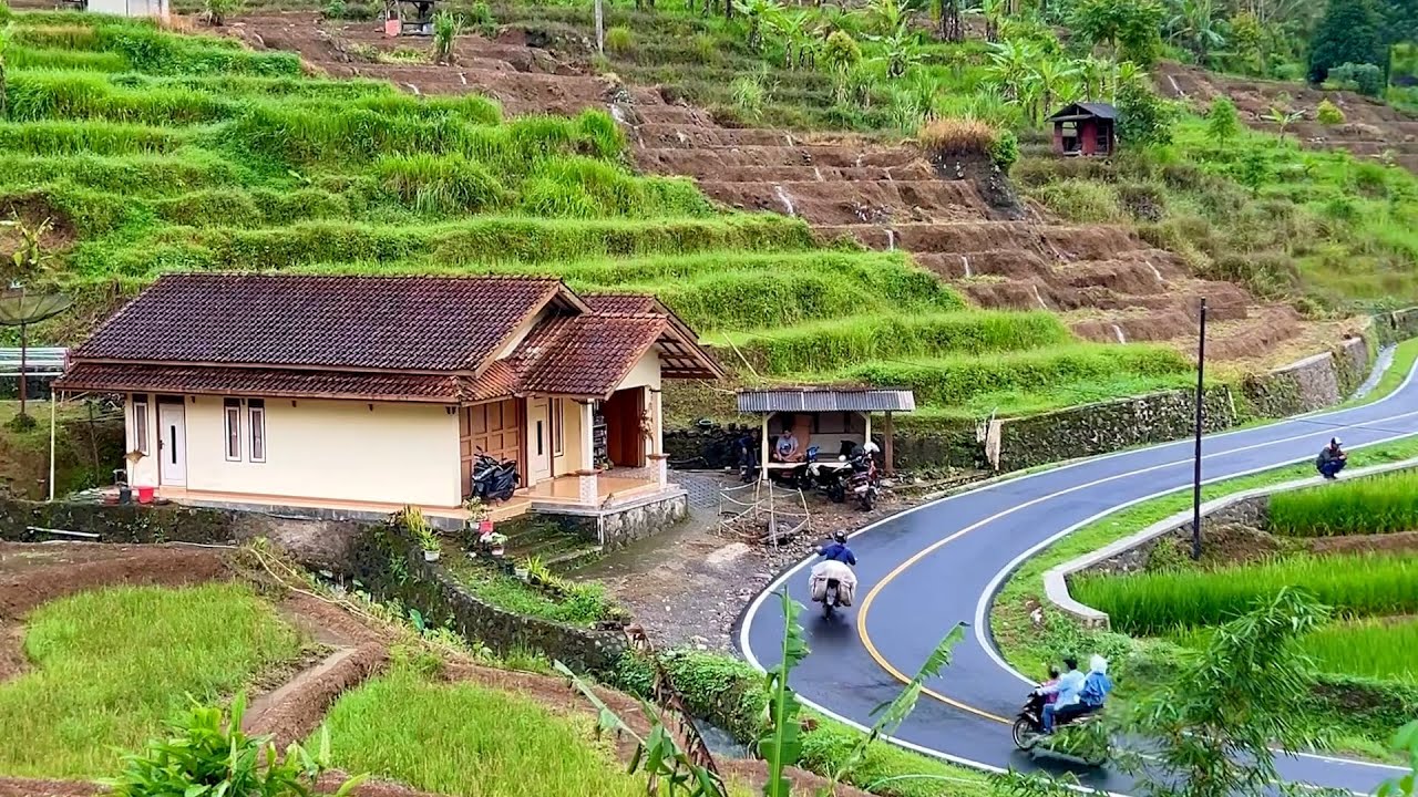 Rumah di kampung yang viral di tawar 500 juta, lanjut perjalanan ke cihalimun