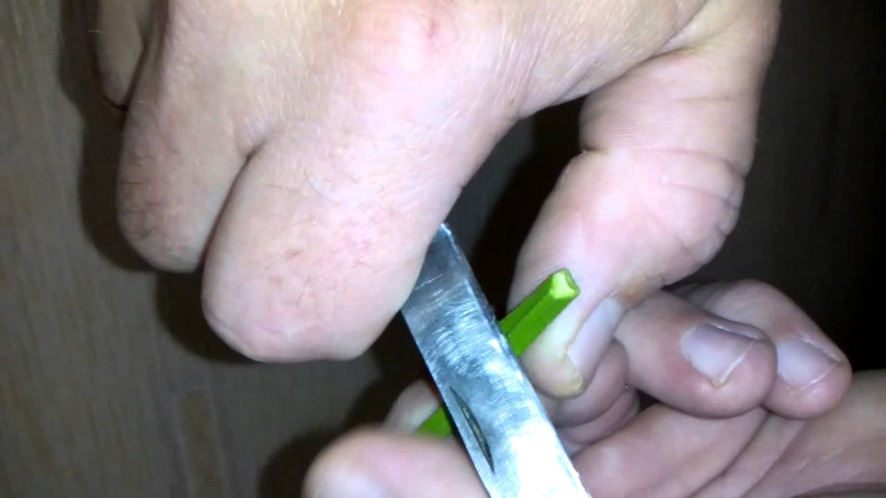 Щеплення мандарина Otsu на дичку лимона. Grafting  Mandarin Otsu to wildings lemon.