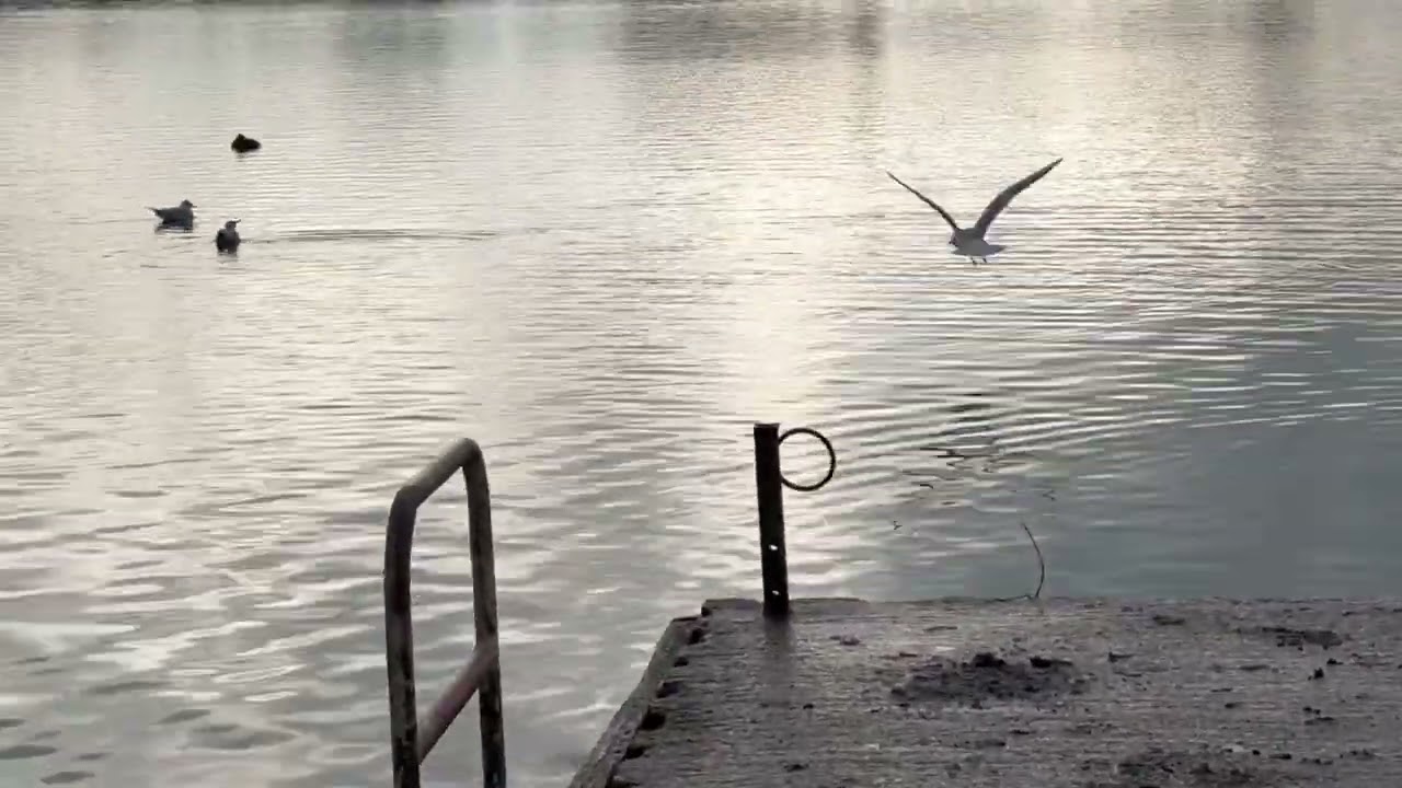 Winter walk by the water at Colwick Country Park.