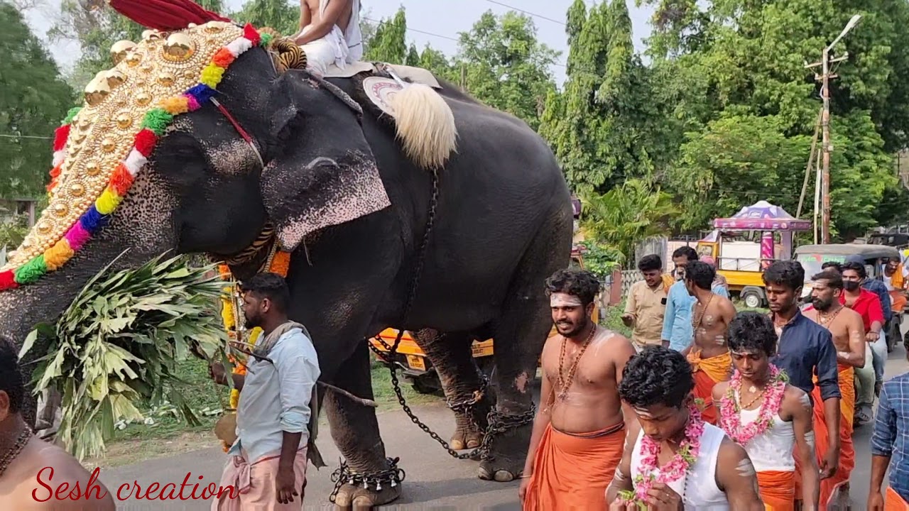 ഹേമാംബിക ക്ഷേത്രം മലമ്പുഴ വേല 2021 hemambika temple malampuzha vela 2021 readiness