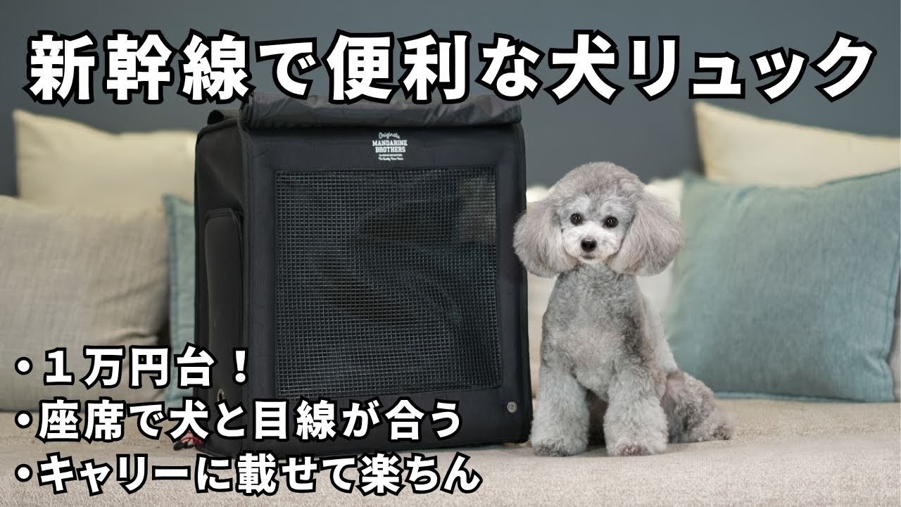 犬連れで新幹線・特急に乗る時に、便利な犬リュックを見つけました｜マンダリンブラザーズ