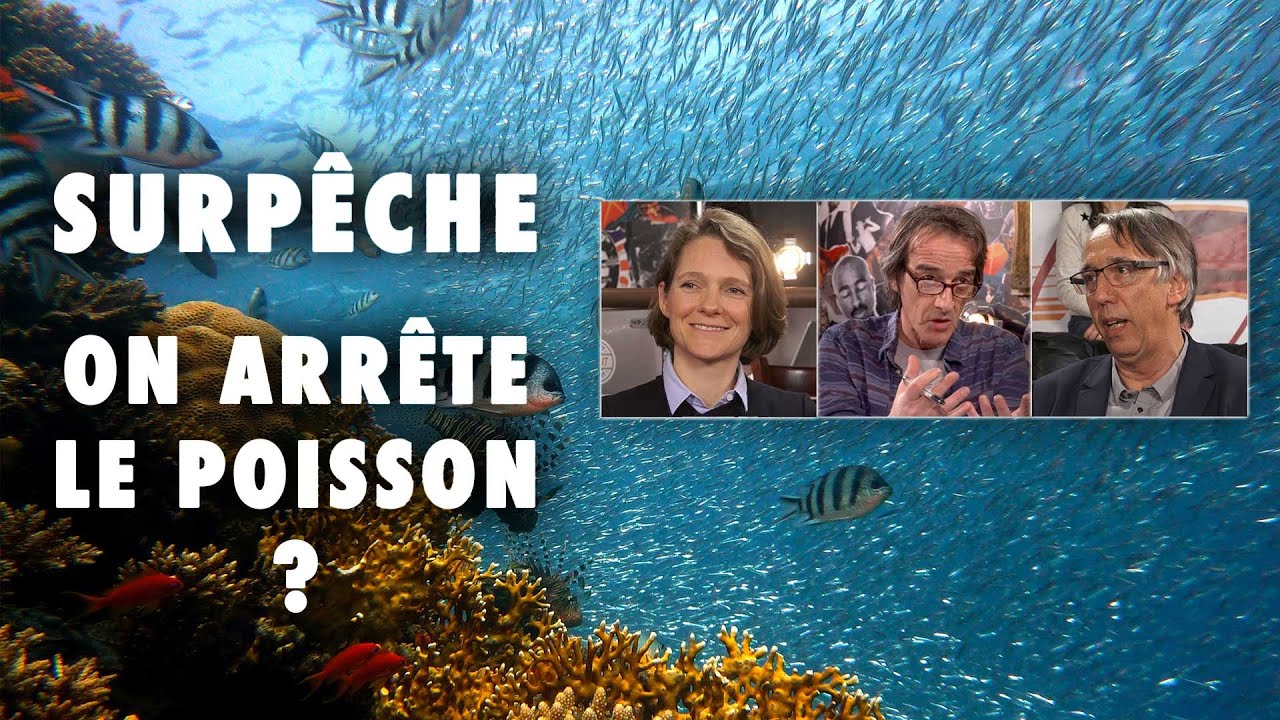Surp&ecirc;che : on arr&ecirc;te le poisson ? - Emission #15 - L'Esprit Sorcier