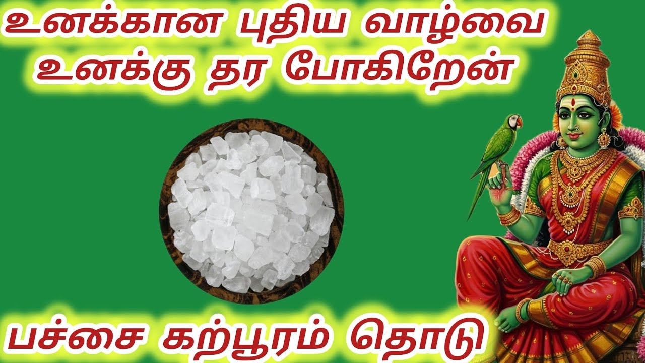 பச்சை கற்பூரம் தொடு உனக்கான புதிய வாழ்வை உனக்கு தர போகிறேன்🌟#meenakshi #அம்மன் #மீனாட்சி #god 
