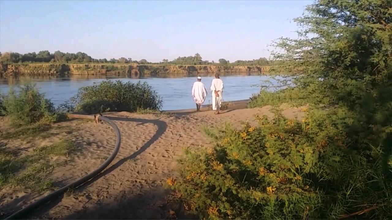 عثمان حميدة - أمونة