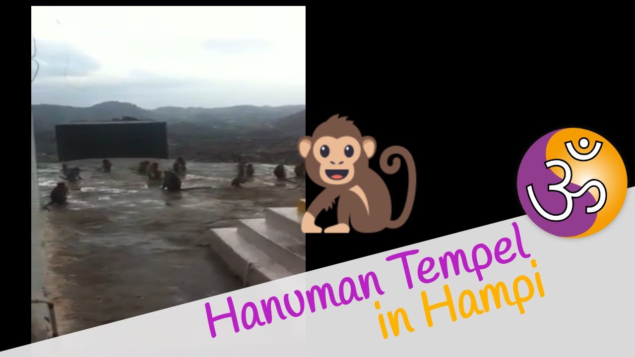 Die Affen im Hanuman Tempel in Hampi