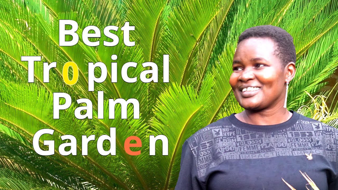 The Best Tropical Palm Garden In Western Kenya # Earn Money Enjoying Christmas Palm Trees