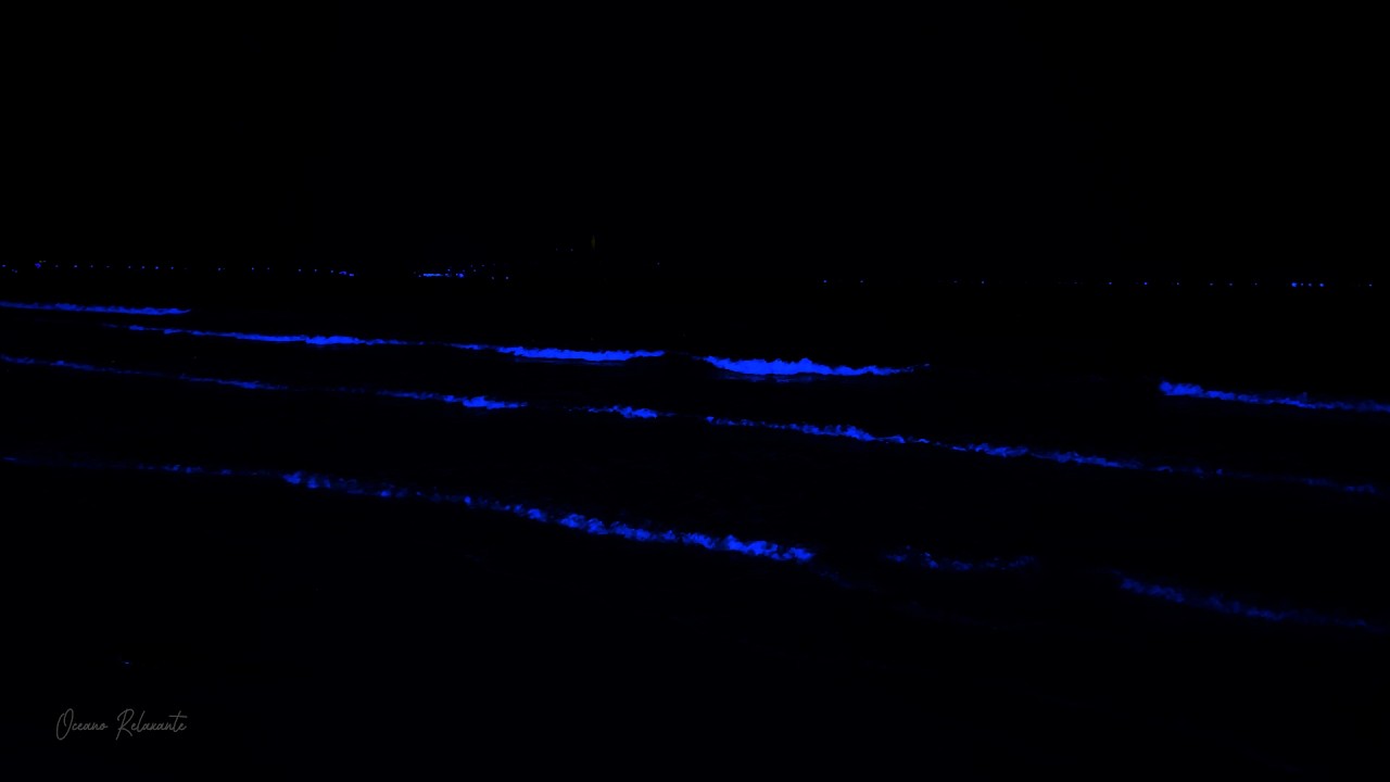 Relaxing Ocean Waves Night - Calm The Mind, Release of Melatonin and Toxin 💤 Healing Sleep Music
