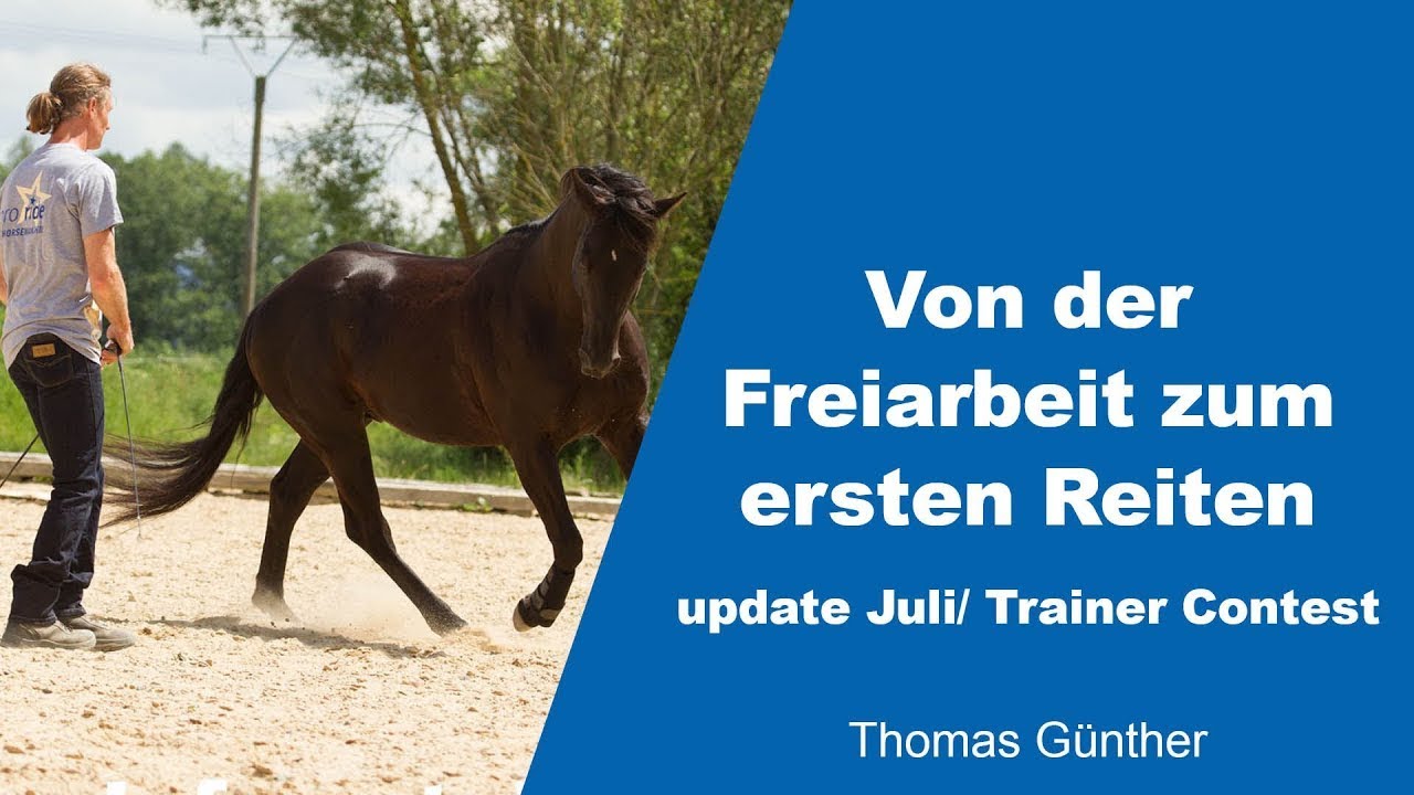 Von der Freiarbeit zum ersten Reiten | Thomas Günther | Trainer Contest 2021 Update Juli