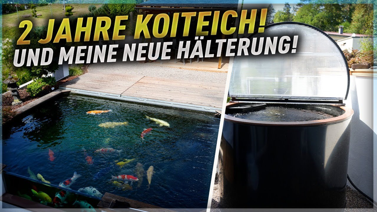 Mein 37.400 Liter Koiteich nach 2 Jahren! Und die Neue Hälterung!