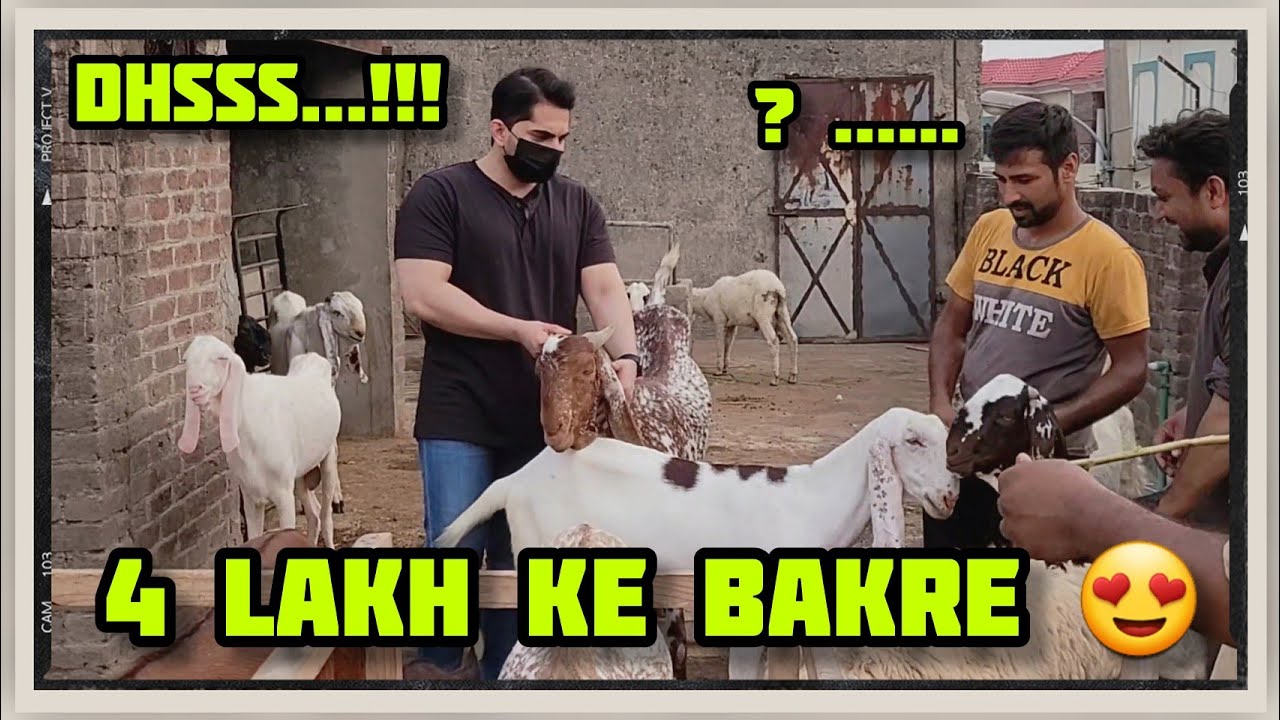 Eid ul Adha 2024 vlog| Lahore se liye Bakray | Qurbani | Bakra Mandi | Bakra Eid .