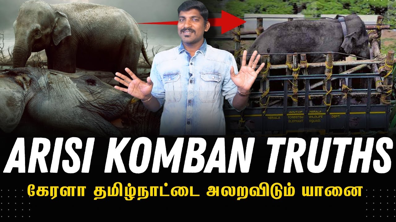 அரிசிகொம்பன் படும் கஷ்டம் | Kerala Arikomban's  Sad Life | Villain To Hero | അരിക്കൊമ്പൻ | Tamil