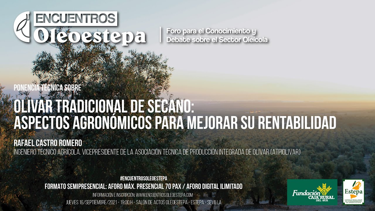 Ponencia OLIVAR TRADICIONAL SECANO: ASPECTOS PARA UNA MAYOR RENTABILIDAD  - ENCUENTROS OLEOESTEPA