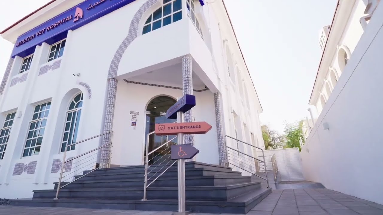 Modern Vet Hospital Open 24/7