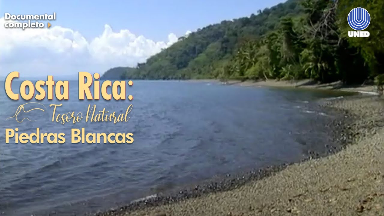 Tesoro Natural: Parque Nacional Piedras Blancas