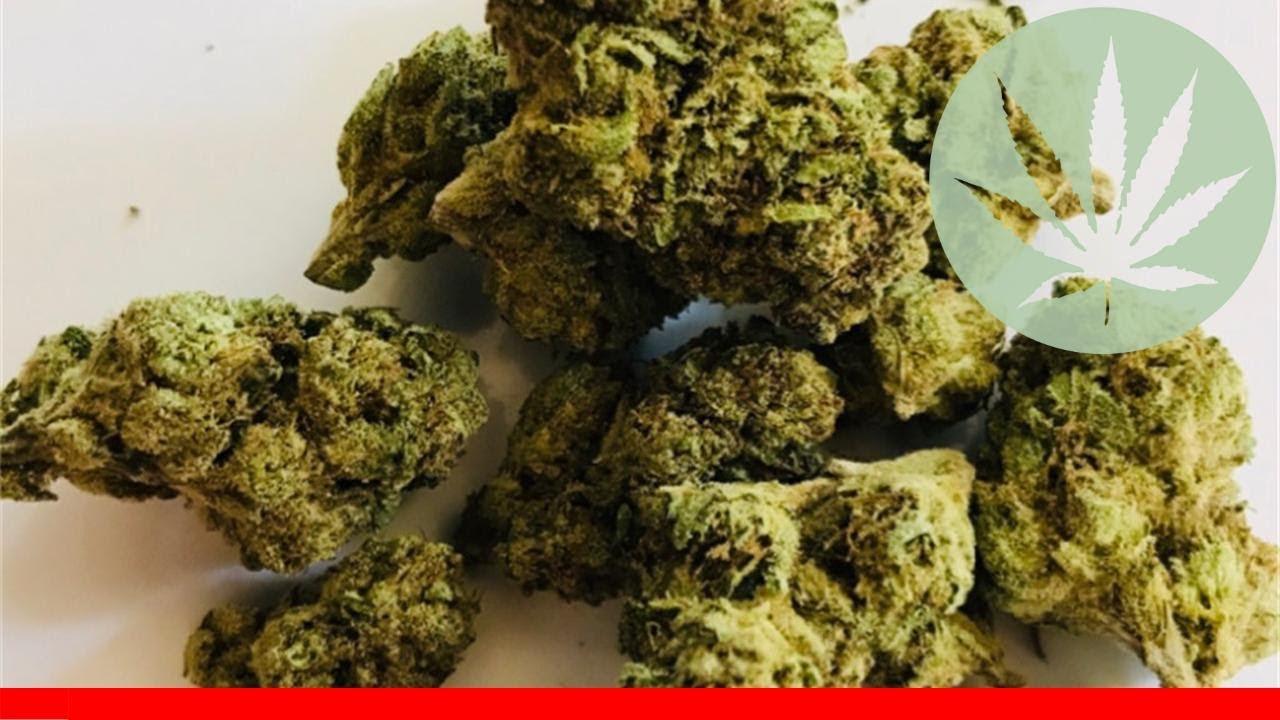 Trainwreck - All About This Strain