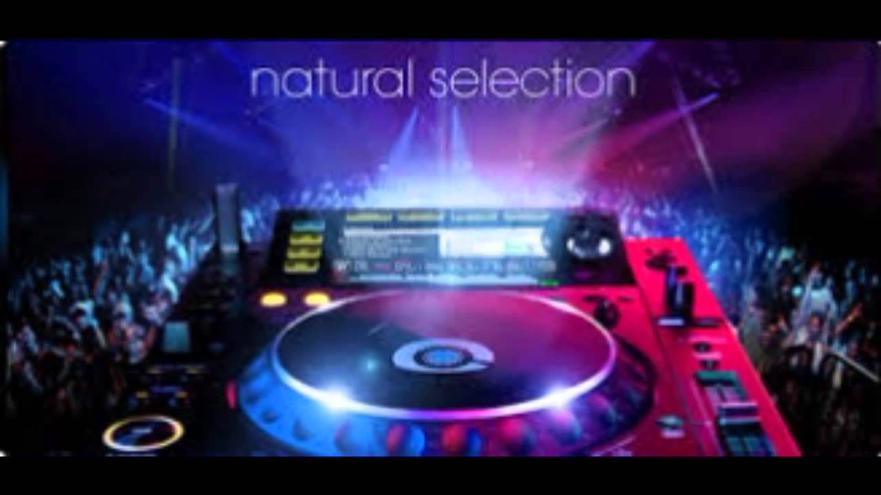 Tremor remix by Dj FloFlo