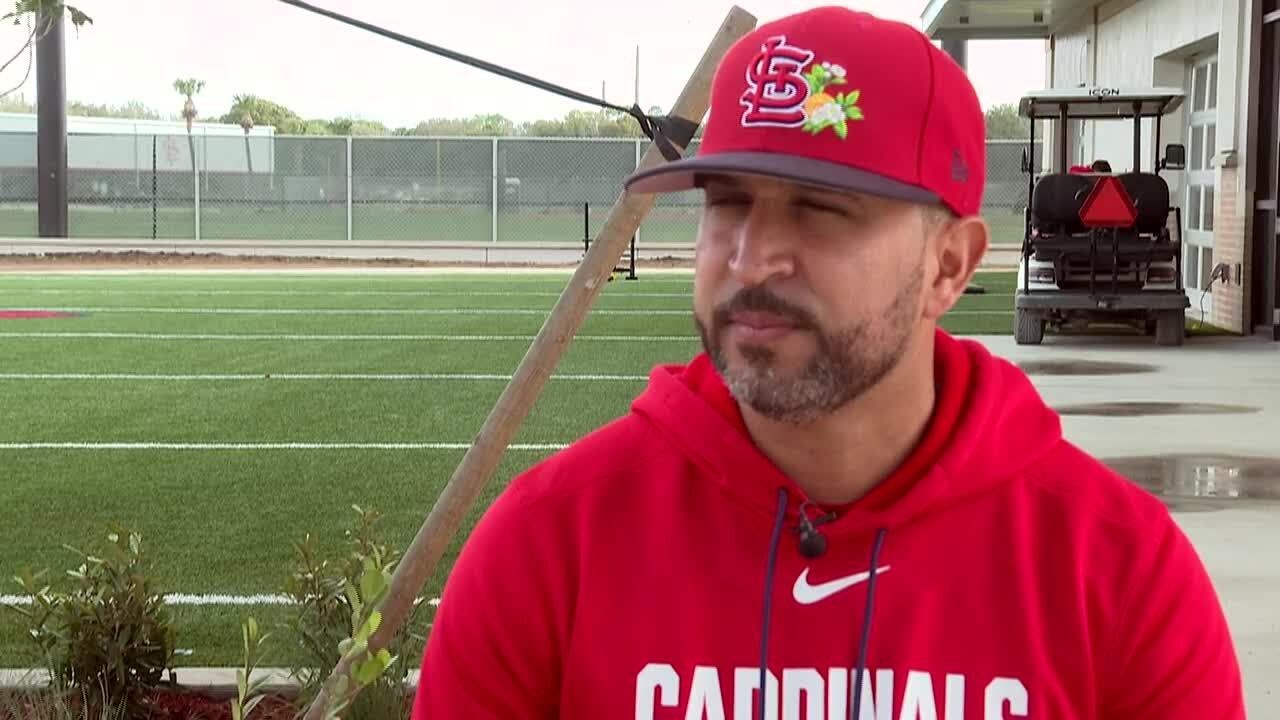 Oli Marmol on the upcoming Cardinals season