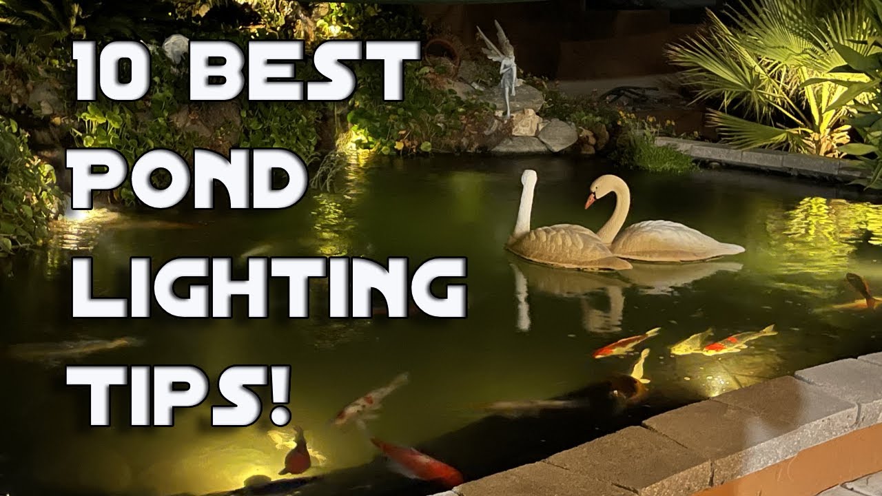 10 Best Pond lighting tips