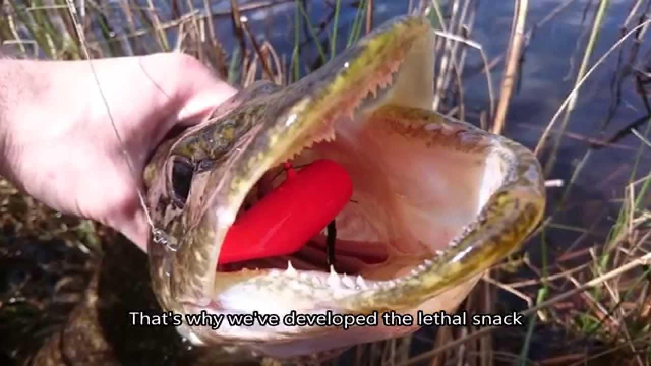 The Lethal Snack