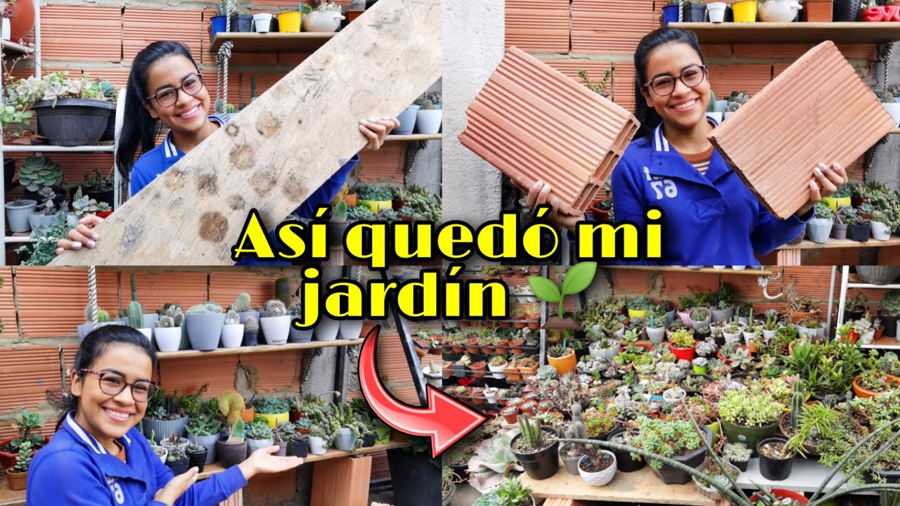 REPISAS ECONÓMICAS PARA MIS SUCULENTAS Y ORGANIZO MI JARDÍN 🌱🥰 | Jardines by Angie
