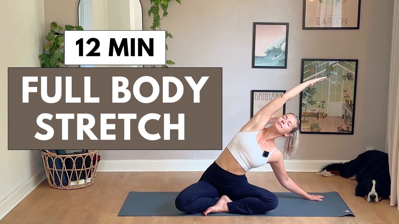 Full body stretch 12 min | Yoga for beginners