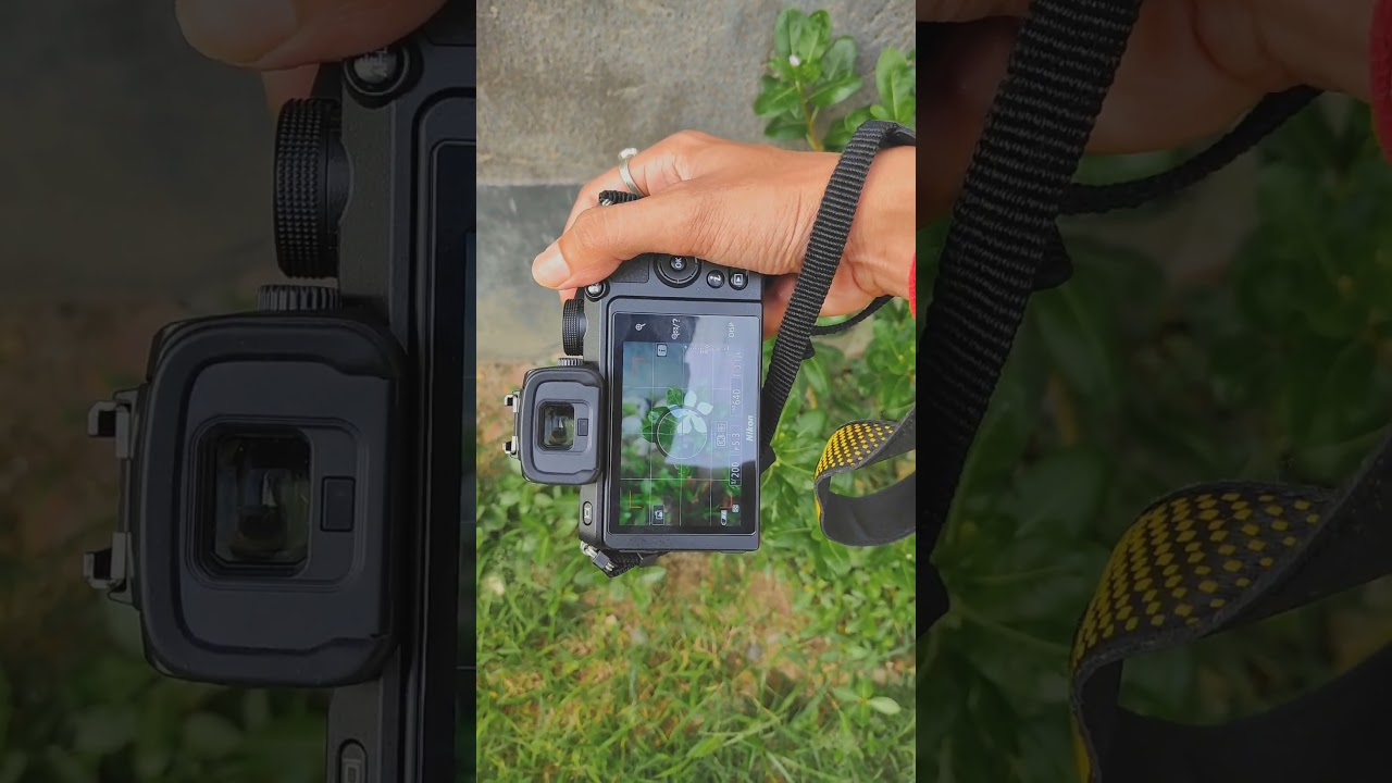 Nikon Z50 + 16-50mm Lens Photography Test 🔥 #shorts #viral #photography