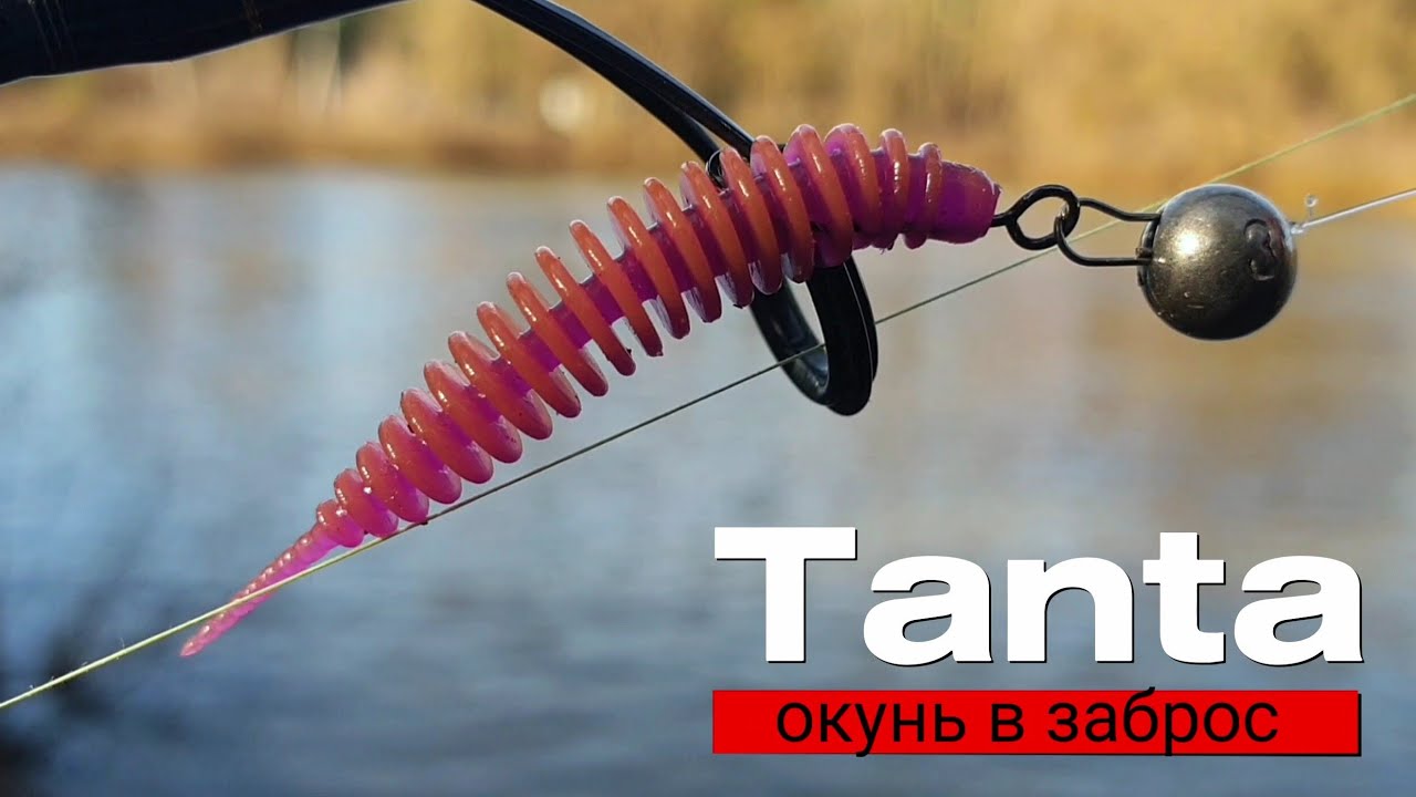 Лучшие приманки Tanta и Hitomi СУМАСШЕДШАЯ проводка на пассивного окуня