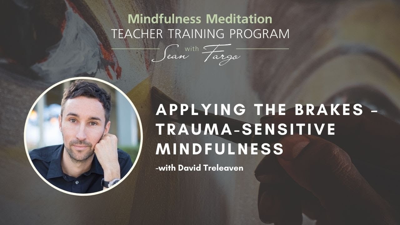 Applying the Brakes – Trauma-Sensitive Mindfulness with David Treleaven