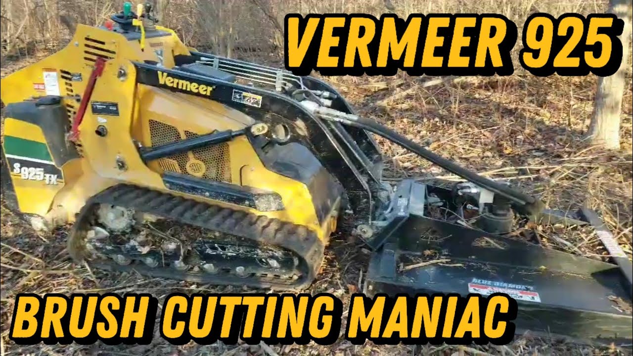 Clearing Woods Fast with a Blue Diamond Mini Brush Cutter | Vermeer 925 Skid Steer