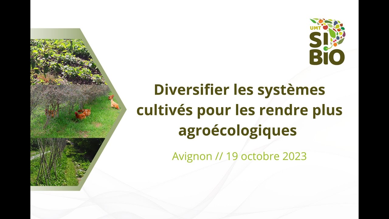 5 - Services de prédation en vergers-maraîchers méditerranéens