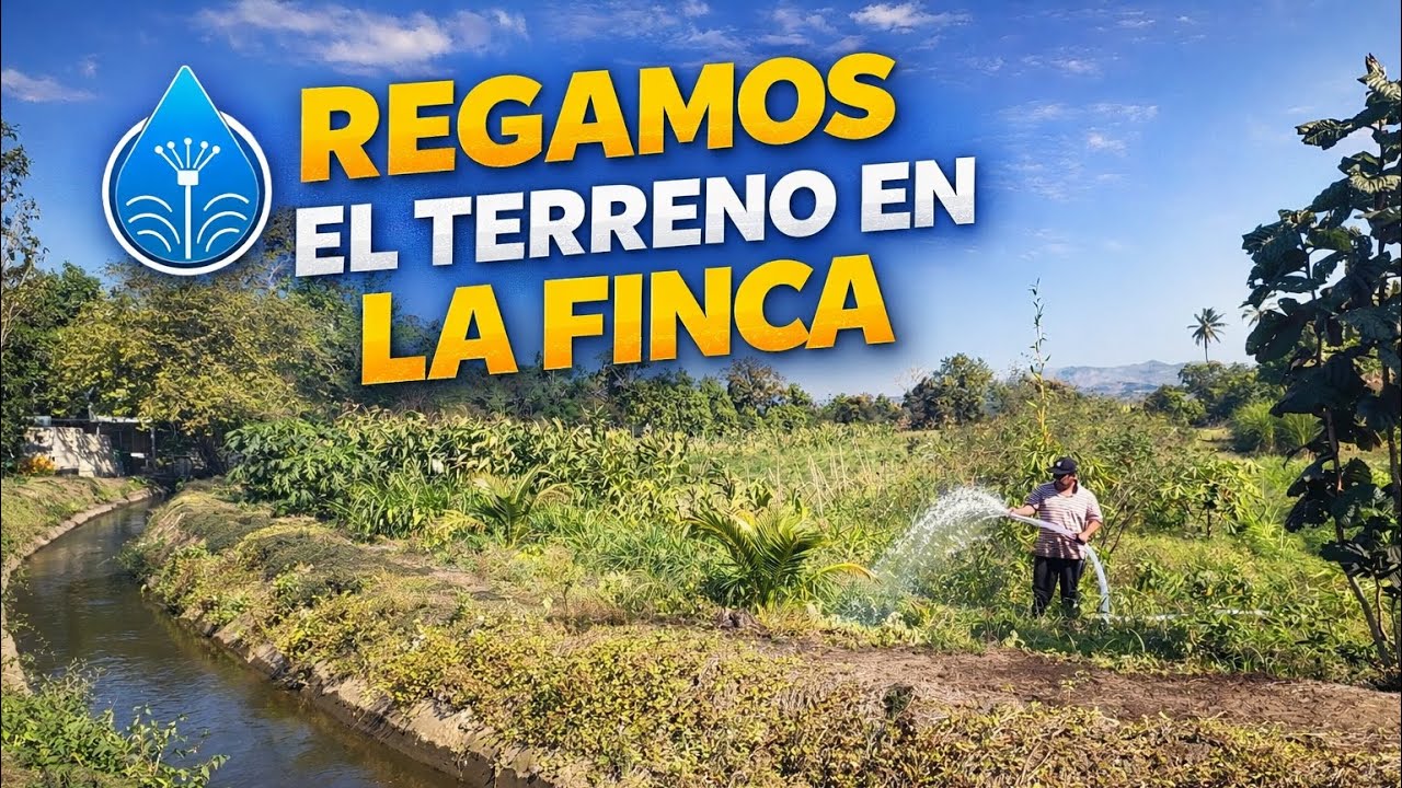 Asi Regamos el terreno en La Finca del Patechucho en la epoca del Verano 😎