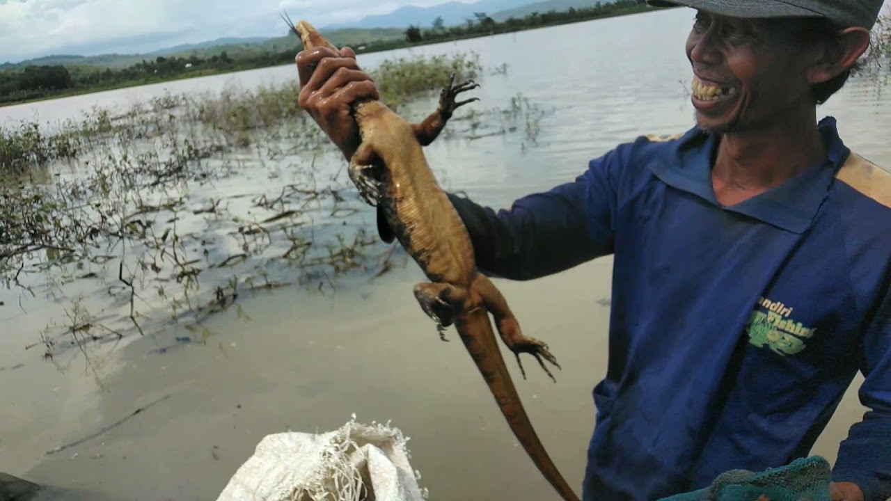 Keseruan angkat bubu ada monster yang masuk