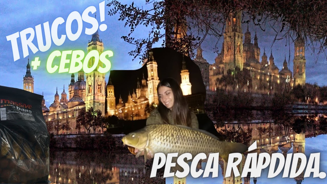 Pesca de carpas frente la catedral del pilar (RIO EBRO) Trucos+ Cebos. 🔥
